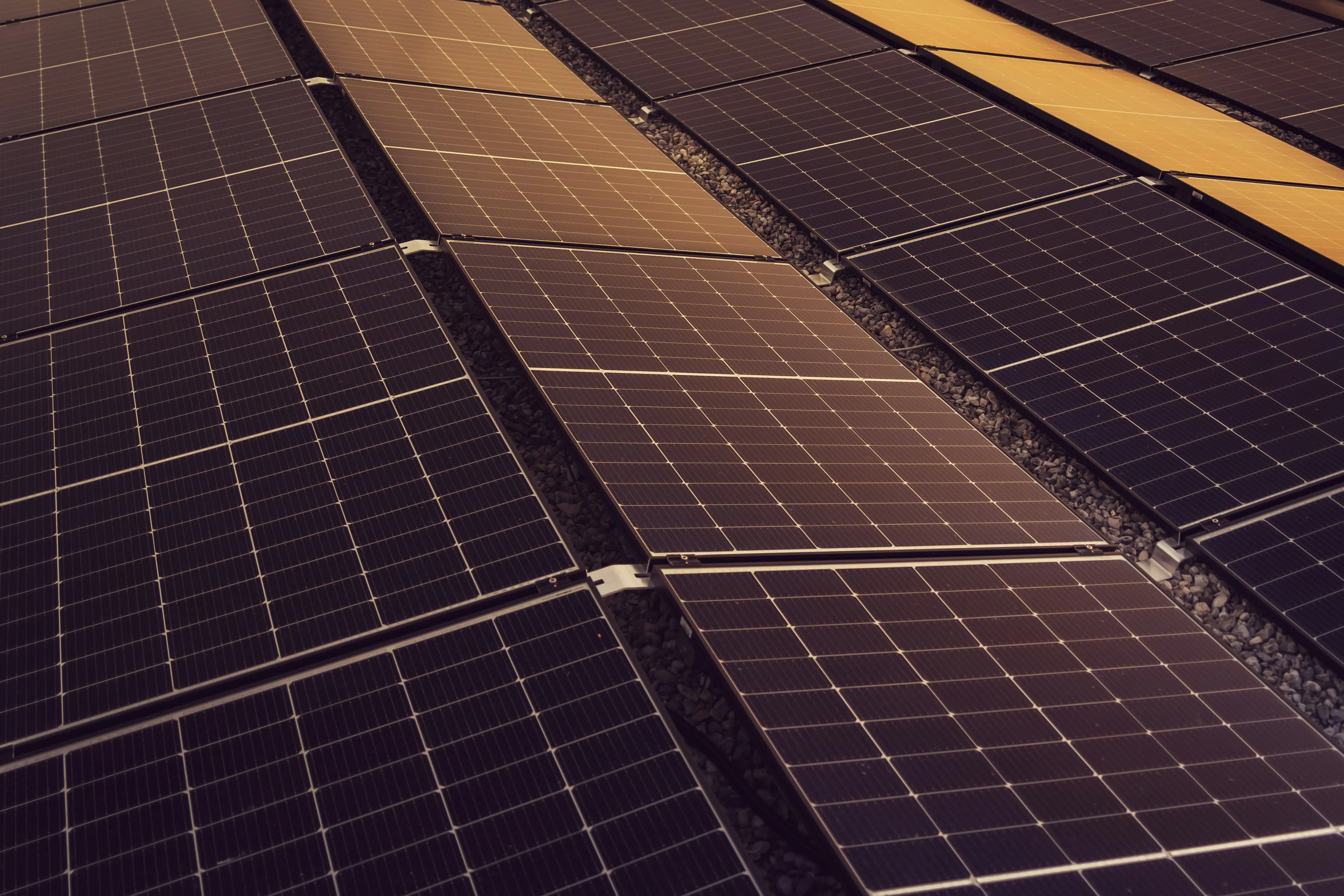 Rows of solar panels installed across a flat rooftop